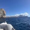 Κατερίνα Τασιούλη©Αρχείο ΕΛΚΕΘΕ