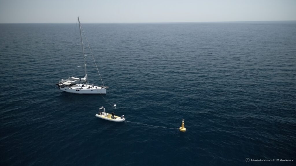 ©Roberto Lo Monaco/LIFEMareNatura