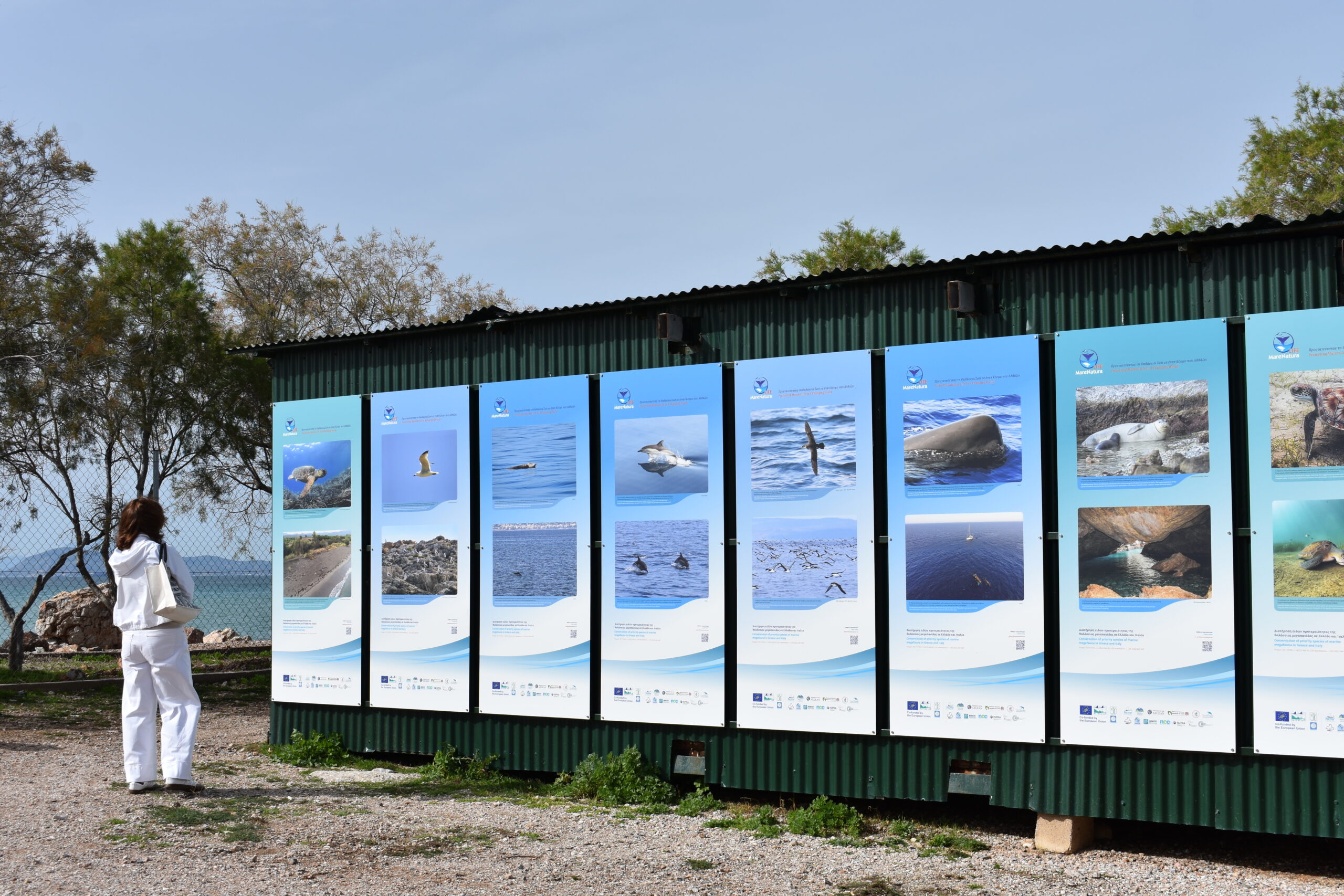 Εγκαίνια της Φωτογραφικής Έκθεσης του έργου από τον ΑΡΧΕΛΩΝ