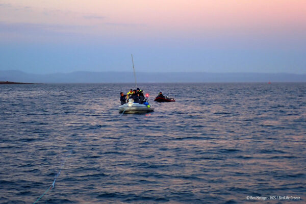 ©Ben Metzger-HOS/ BirdLife Greece