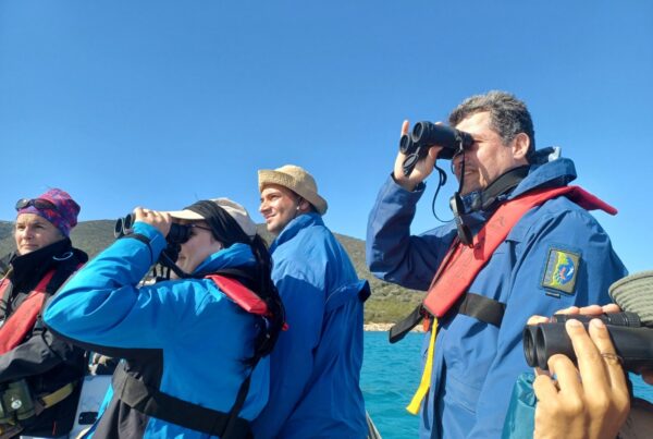 ©ΟΦΥΠΕΚΑ/NECCA