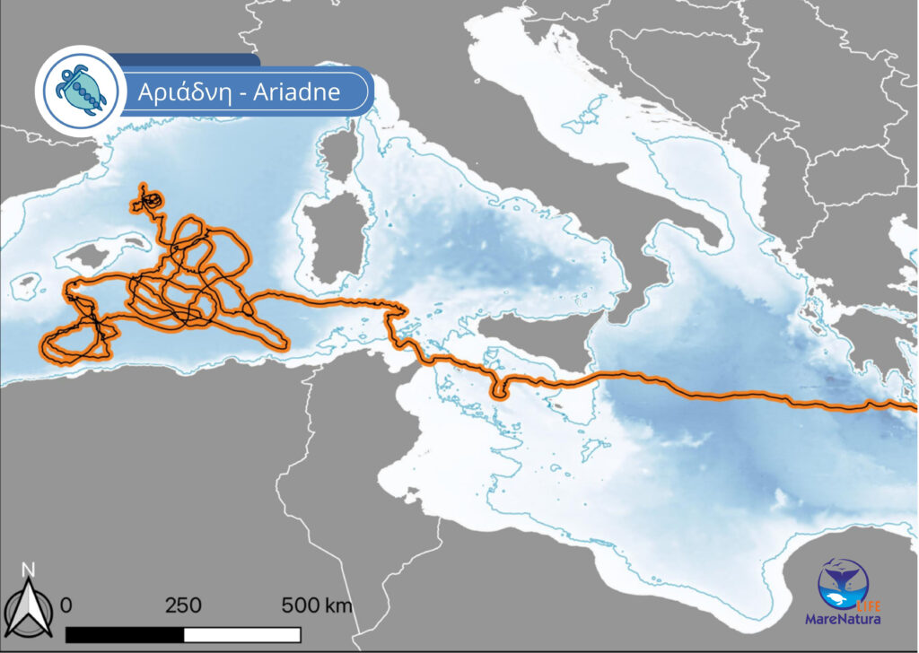 ©ARCHELON