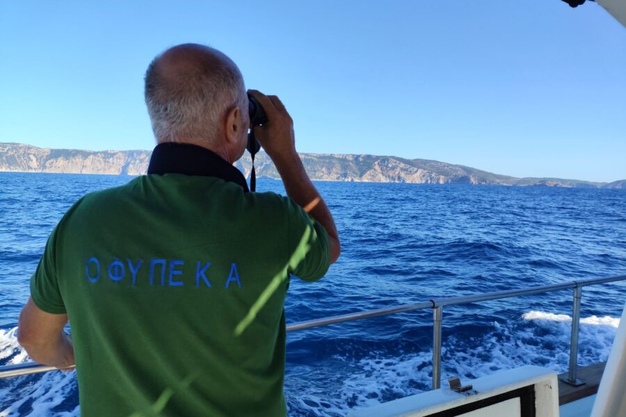 Οπτικές καταγραφές / Visual recordings ©ΟΦΥΠΕΚΑ/NECCA