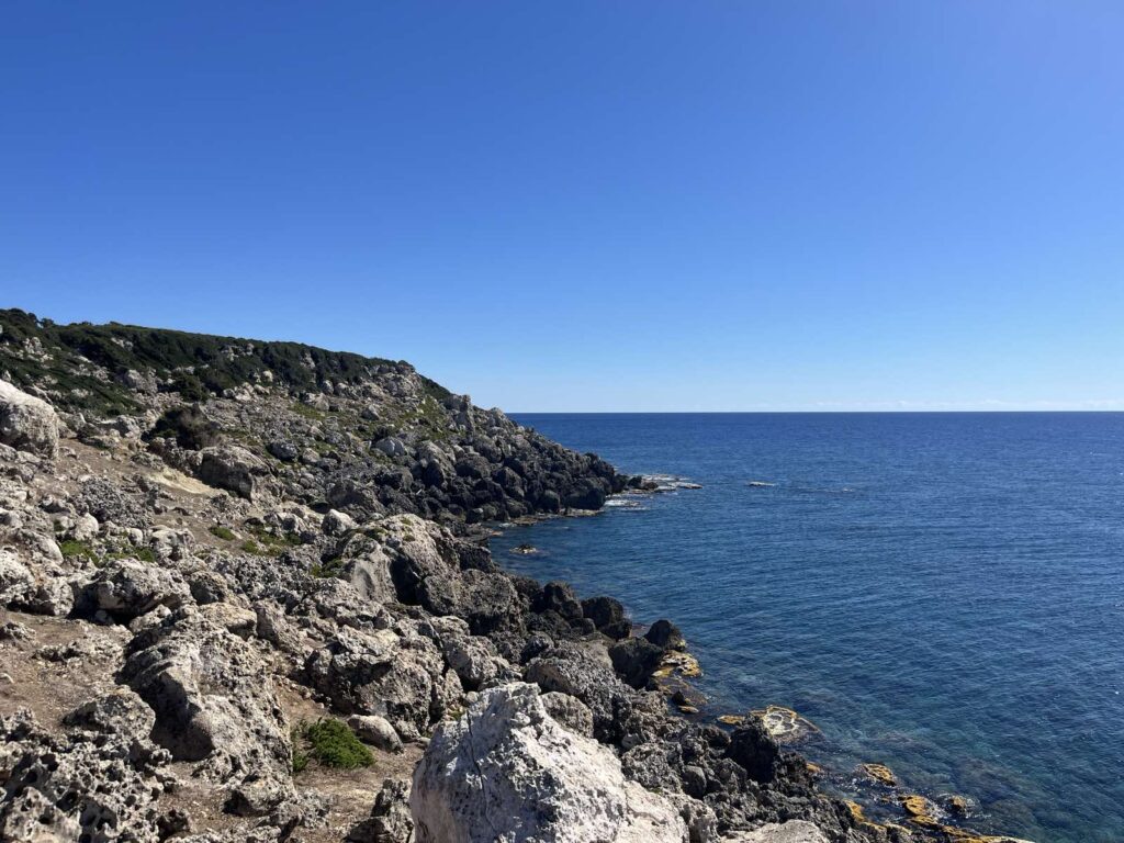 Το πεδίο στα Στροφάδια. Κ. Τασιούλη©Αρχείο ΕΛΚΕΘΕ