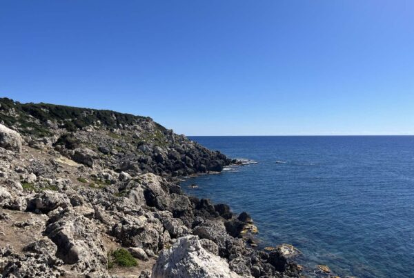 Το πεδίο στα Στροφάδια. Κ. Τασιούλη©Αρχείο ΕΛΚΕΘΕ